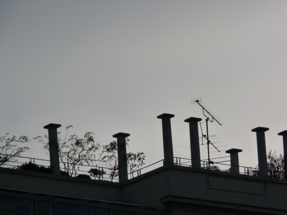 cheminées et végétation sur un immeuble à contre jour au crépuscule