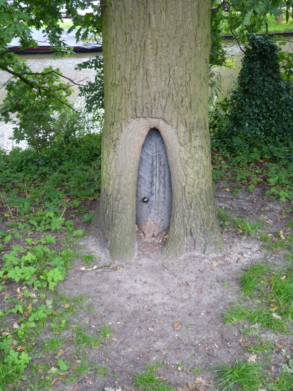 porte ménagée dans un arbre creux