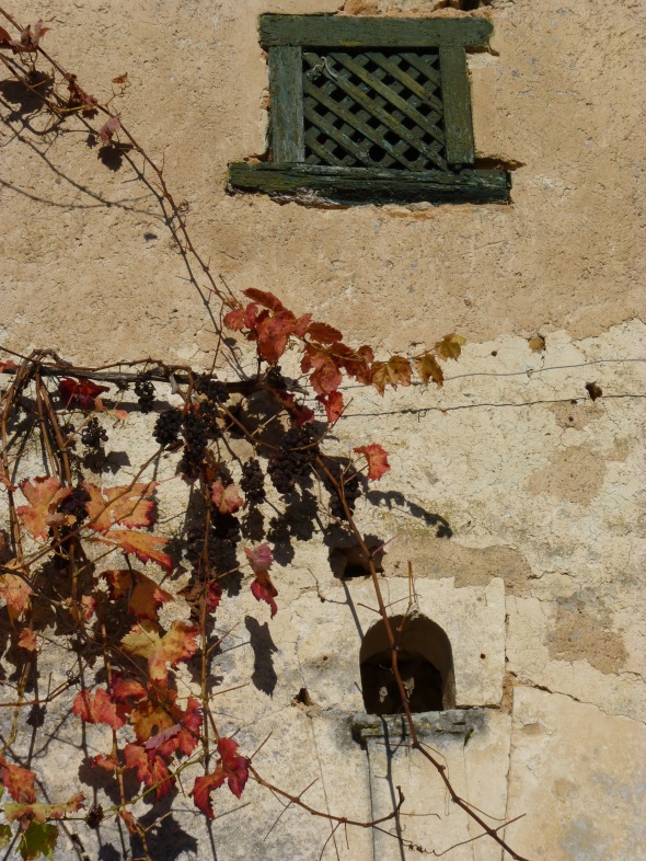 façade ancienne, treille en automne, lucarne grillagée
